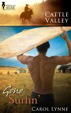 Gone Surfin' (eBook, ePUB)