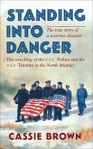 Standing into Danger (eBook, ePUB)