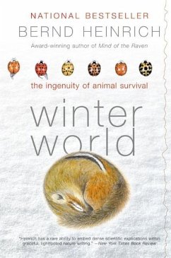 Cover Winter World (eBook, ePUB)