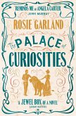 The Palace of Curiosities (eBook, ePUB)