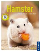 Hamster