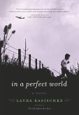 In a Perfect World (eBook, ePUB)