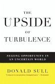 The Upside of Turbulence (eBook, ePUB)