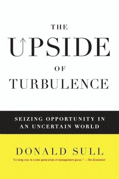 Cover The Upside of Turbulence (eBook, ePUB)
