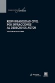Responsabilidad civil por infracciones al derecho de autor (eBook, PDF)