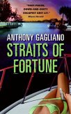 Straits of Fortune (eBook, ePUB) Straits of Fortune (eBook, ePUB)