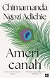 Americanah (eBook, ePUB) - Bild 1