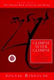 Glimpse After Glimpse (eBook, ePUB)