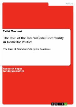 The Role of the International Community in Domestic Politics (eBook, PDF)
