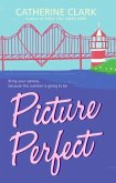 Picture Perfect (eBook, ePUB)