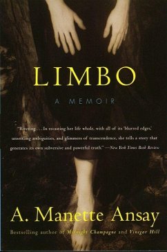 Limbo (eBook, ePUB) - Ansay, A. Manette