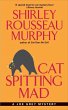 Cat Spitting Mad (eBook, ePUB) - Bild 1