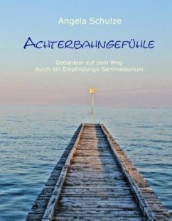 Achterbahngefühle - Schulze, Angela