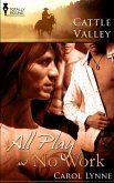 All Play & No Work (eBook, ePUB) All Play & No Work (eBook, ePUB)