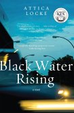 Black Water Rising (eBook, ePUB)