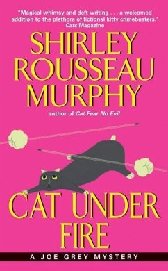 Cat Under Fire (eBook, ePUB) Cover Cat Under Fire (eBook, ePUB)