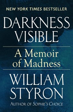 Darkness Visible (eBook, ePUB) Cover Darkness Visible (eBook, ePUB)