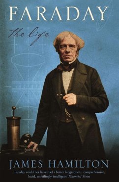 Cover Faraday (eBook, ePUB)