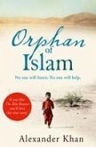 Orphan of Islam (eBook, ePUB)