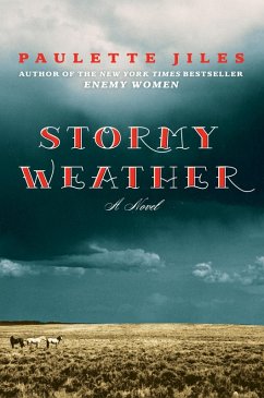 Stormy Weather (eBook, ePUB) - Jiles, Paulette