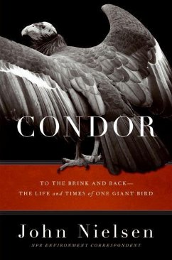 Condor (eBook, ePUB) - Nielsen, John