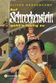 Auf Schreckenstein geht's lustig zu / Burg Schreckenstein Bd.2