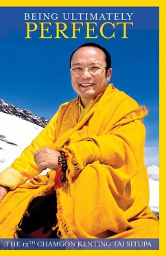 Cover Being Ultimately Perfect (eBook, ePUB)