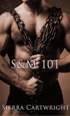 S&M 101 (eBook, ePUB)