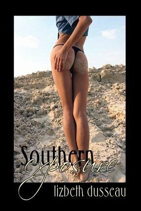 Southern Exposure (eBook, ePUB)