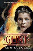 Glint (eBook, ePUB)