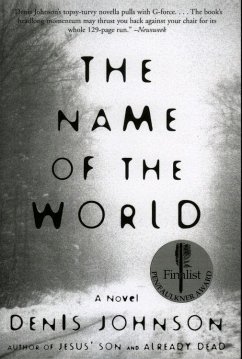 The Name of the World (eBook, ePUB) - Johnson, Denis