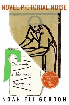 Cover Novel Pictorial Noise (eBook, ePUB)