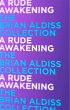 A Rude Awakening (eBook, ePUB) - Bild 1