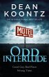 Odd Interlude (eBook, ePUB) - Bild 1