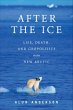 After the Ice (eBook, ePUB) - Bild 1