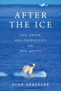 Cover After the Ice (eBook, ePUB)