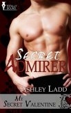 Secret Admirer (eBook, ePUB)