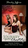 Journey Into Chastity, Book Three - New Depths of Pain (eBook, ePUB)