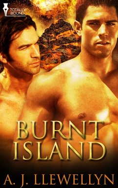 Burnt Island (eBook, ePUB) - Llewellyn, A. J.