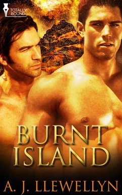 Cover Burnt Island (eBook, ePUB)
