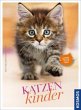 Katzenkinder - Bild 1