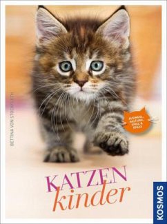 Katzenkinder - Stockfleth, Bettina von