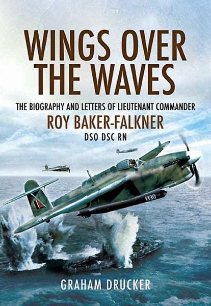 Wings over the Waves (eBook, ePUB)