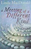 Meeting of a Different Kind (eBook, ePUB)