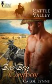 Bad Boy Cowboy (eBook, ePUB)