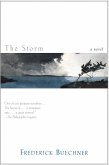 The Storm (eBook, ePUB)