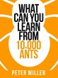 What You Can Learn From 10,000 Ants... - Bild 1