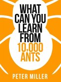 What You Can Learn From 10,000 Ants (eBook, ePUB)