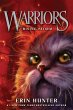Warriors #4: Rising Storm (eBook, ePUB) - Bild 1