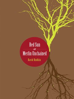 Red Sun and Merlin Unchained (eBook, ePUB) - Rudkin, David